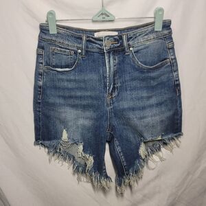 Risen Distressed Denim Shorts (Size S) Angled, Frayed Hem
